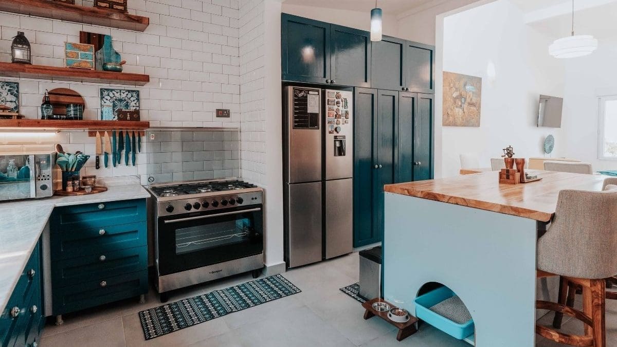 Beautiful kitchen in an apartment full of amenities